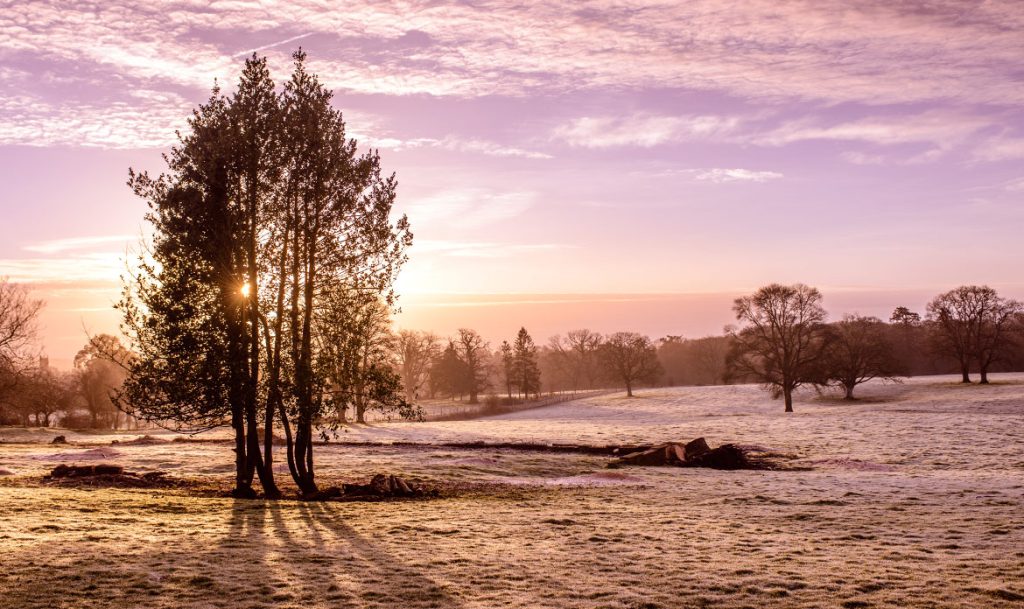Sandhill Park Coreus Group